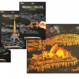 ARTLOVER gouden kraskaart – nachtelijk uitzicht op het Sydney Opera House