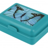 Lunchbox Butterfly