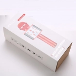 draadloze karaokemicrofoon met opname en ondersteuning voor USB/microSD