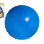 Gymnastiekbal 75 cm voor revalidatie en thuisoefeningen