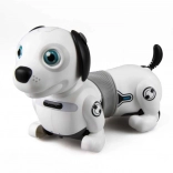 Interactieve robotische hond Dackel met verlichting en slimme bal