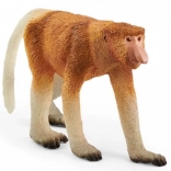 Schleich wasbeerhond-figuur – Wild Life