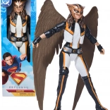 DC COMICS HAWKGIRL actiefiguur 30 cm