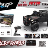 RC auto WILDERNESS RTR 1:10 zwart