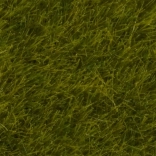 Statische gras Wilde weide 6 mm